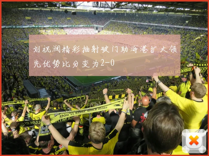 刘祝润精彩抽射破门助海港扩大领先优势比分变为2-0