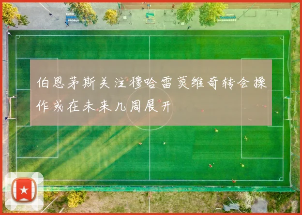 伯恩茅斯关注穆哈雷莫维奇转会操作或在未来几周展开